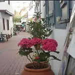Rodina 公寓式酒店 4*