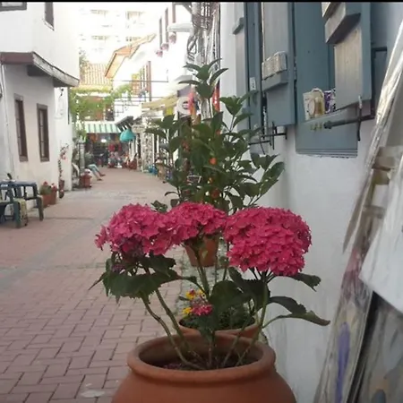 Rodina Apartahotel 4*