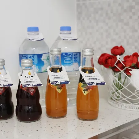 아파트호텔 Rodina 4*